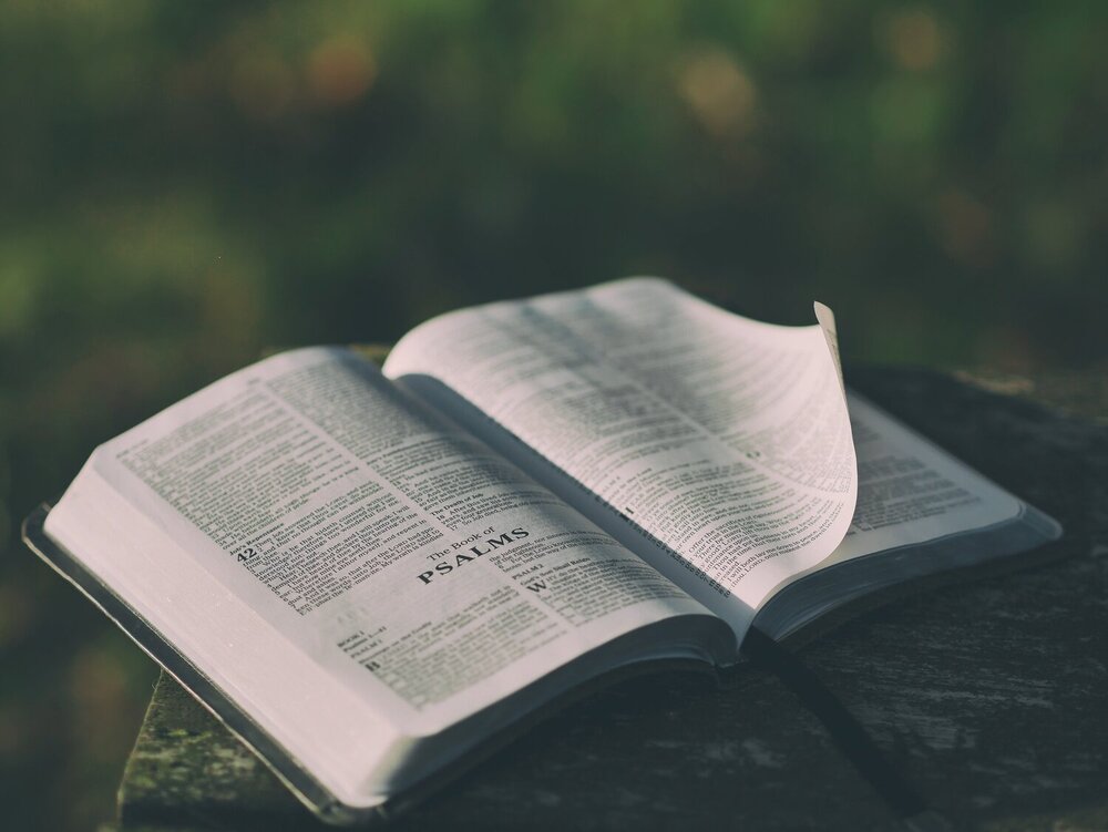 Pixabay/ Pexels